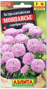 Астра Монпансье серебристая