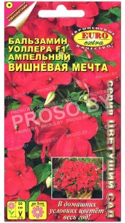 Бальзамин Уоллера Вишневая мечта F1