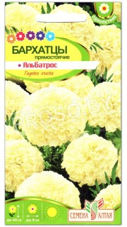 Бархатцы Альбатрос