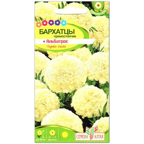 Бархатцы Альбатрос