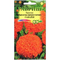 Бархатцы (тагетес) Гавайи