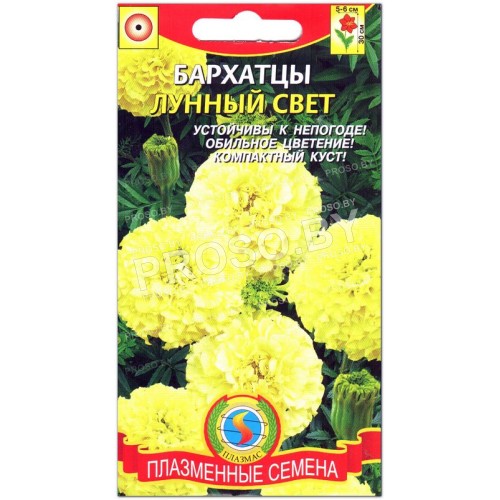Бархатцы Лунный свет