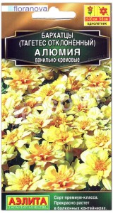 Бархатцы отклоненные Алюмия ванильно-кремовые