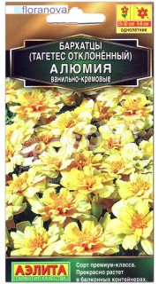 Бархатцы отклоненные Алюмия ванильно-кремовые