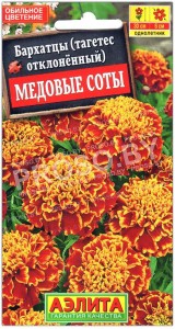 Бархатцы отклоненные Медовые соты