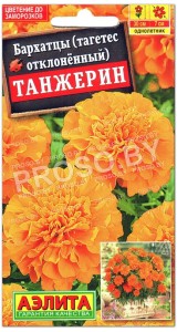 Бархатцы отклоненные Танжерин
