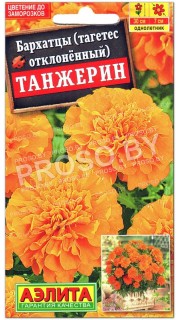 Бархатцы отклоненные Танжерин