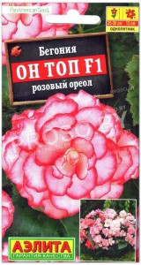 Бегония Он топ розовый ореол F1
