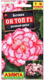 Бегония Он топ розовый ореол F1