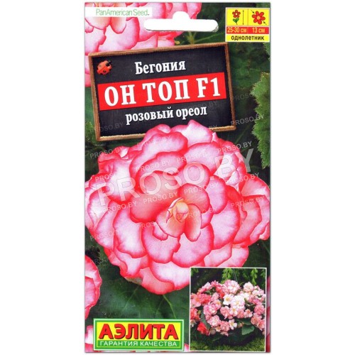 Бегония Он топ розовый ореол F1