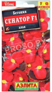 Бегония Сенатор алая F1
