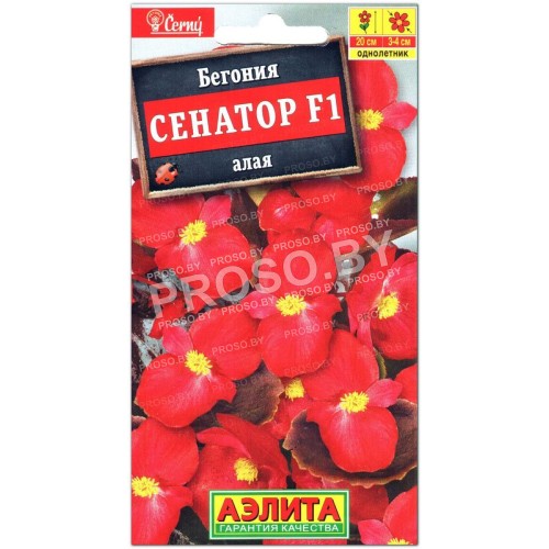 Бегония Сенатор алая F1