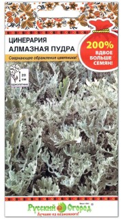 Цинерария Алмазная пудра