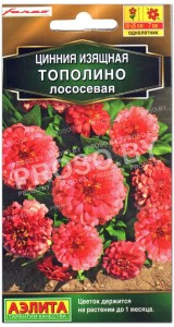 Цинния изящная Тополино лососевая