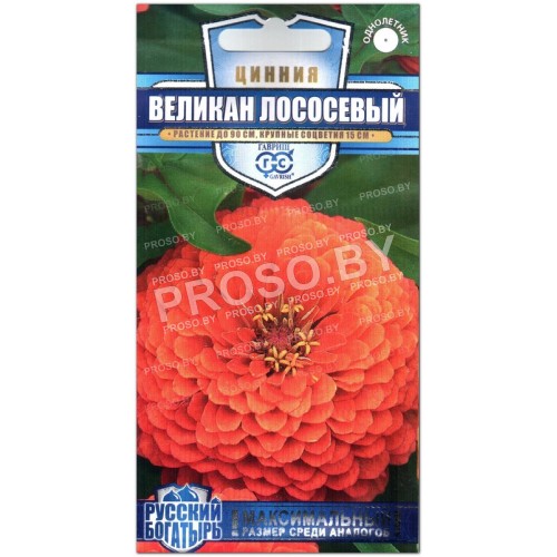 Цинния Великан лососевый