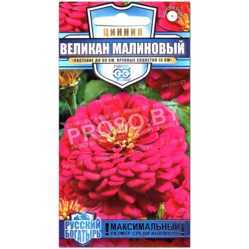 Цинния Великан малиновый