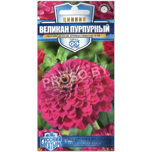 Цинния Великан пурпурный