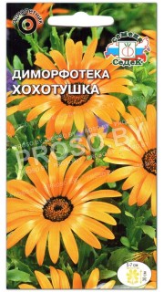 Диморфотека Хохотушка