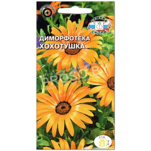 Диморфотека Хохотушка