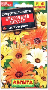 Диморфотека выемчатая Цветочный нектар, смесь