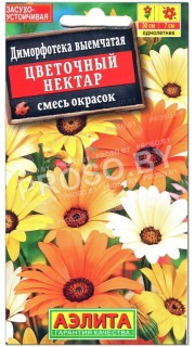 Диморфотека выемчатая Цветочный нектар, смесь
