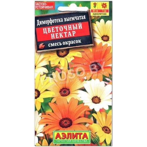 Диморфотека выемчатая Цветочный нектар, смесь