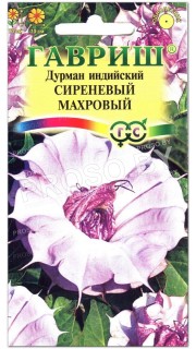 Дурман индийский Сиреневый махровый