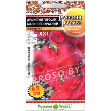 Душистый горошек Малиново-красный, серия Русский размер