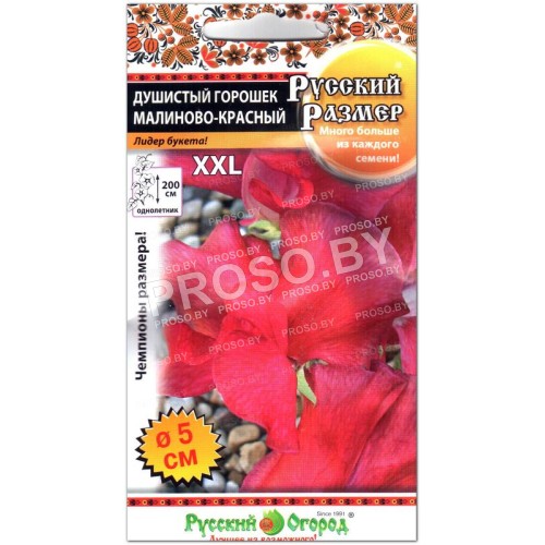 Душистый горошек Малиново-красный, серия Русский размер