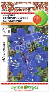 Фацелия Калифорнийский колокольчик
