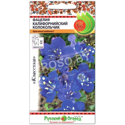 Фацелия Калифорнийский колокольчик