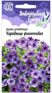 Флокс друммонда Чаровница фиолетовая