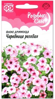 Флокс друммонда Чаровница розовая