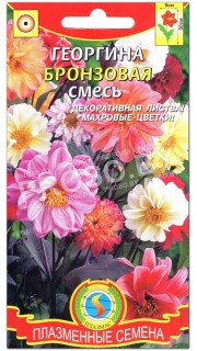 Георгина Бронзовая смесь