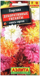 Георгина Декоративные гиганты, смесь