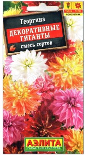 Георгина Декоративные гиганты, смесь