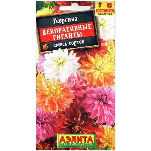 Георгина Декоративные гиганты, смесь