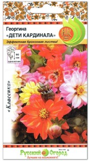 Георгина Дети кардинала, смесь