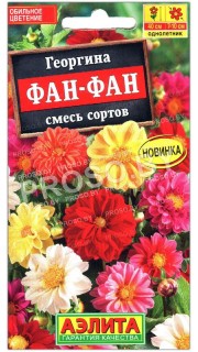 Георгина Фан-фан, смесь