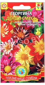 Георгина Денди, смесь