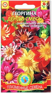 Георгина Денди, смесь