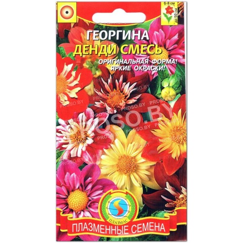 Георгина Денди, смесь