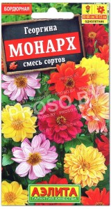 Георгина Монарх, смесь