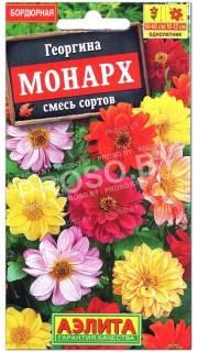 Георгина Монарх, смесь