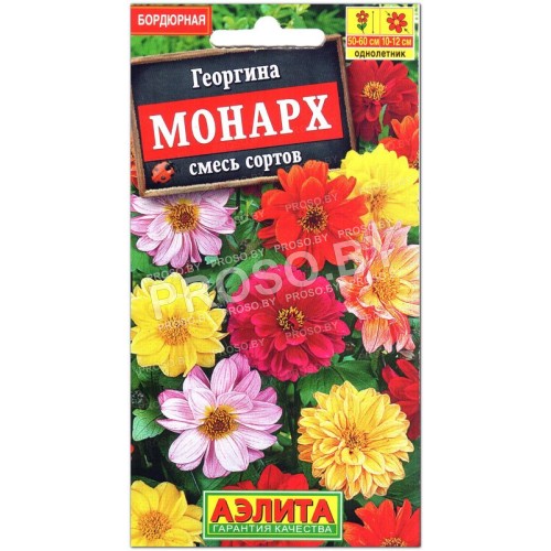 Георгина Монарх, смесь