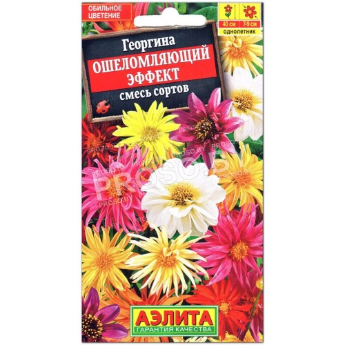 Георгина Ошеломляющий эффект, смесь