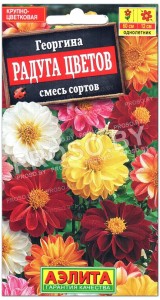 Георгина Радуга цветов, смесь