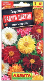 Георгина Радуга цветов, смесь