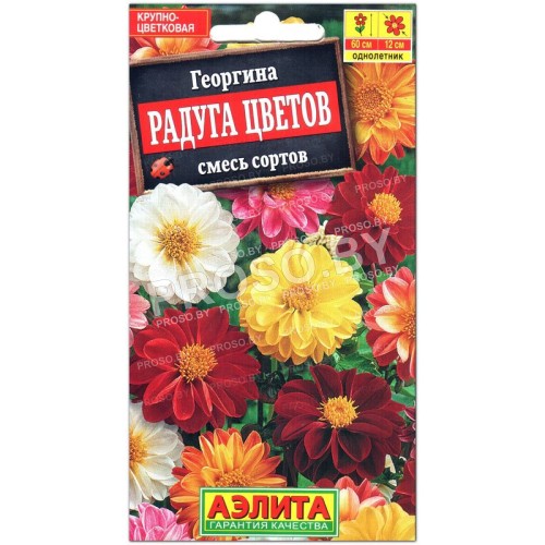 Георгина Радуга цветов, смесь