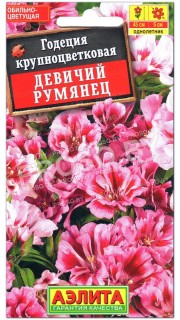 Годеция крупноцветковая Девичий румянец
